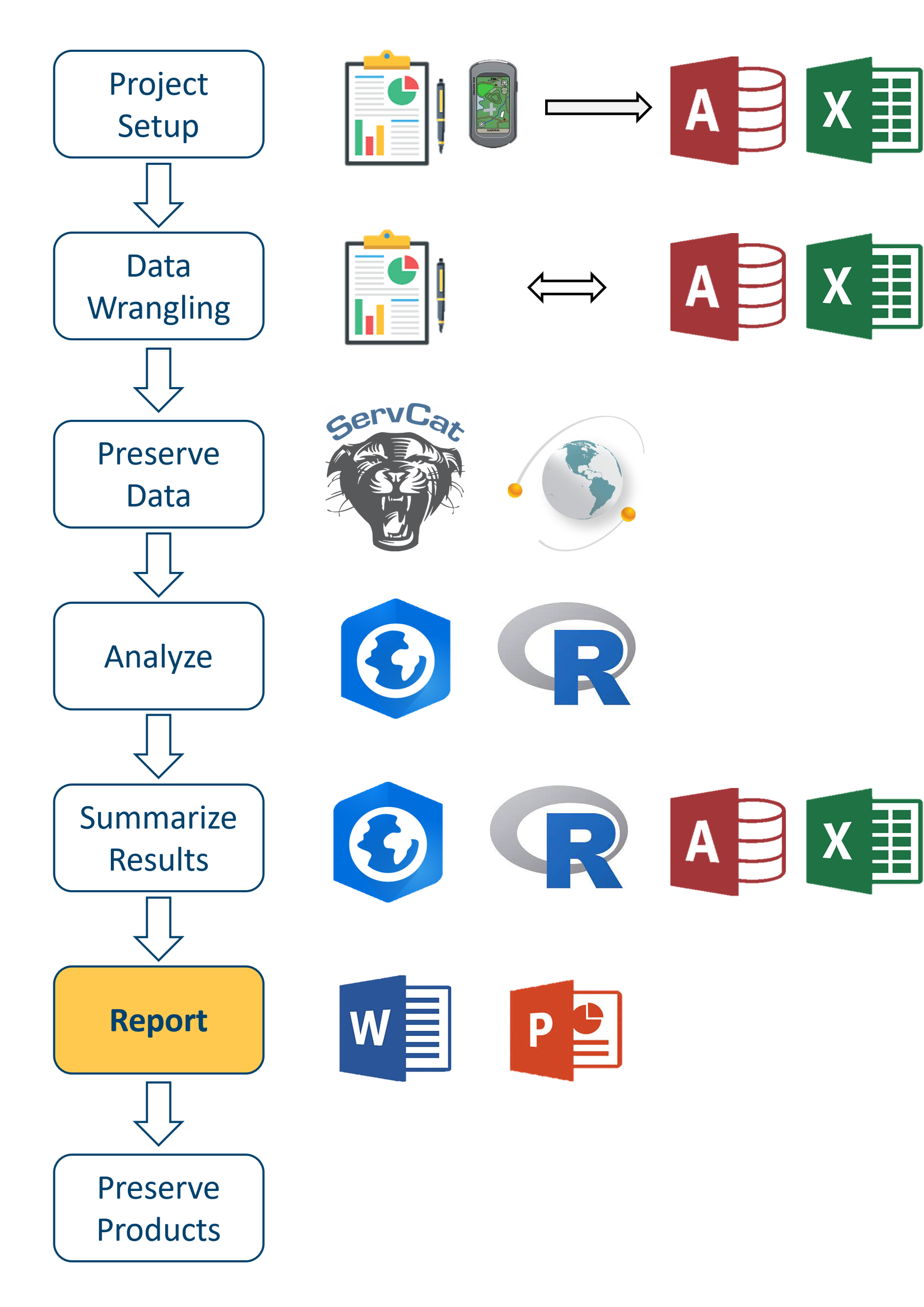 An image of cascading boxes showing proposed workflow with Report highlighted with an image of microsoft word and power point icons.