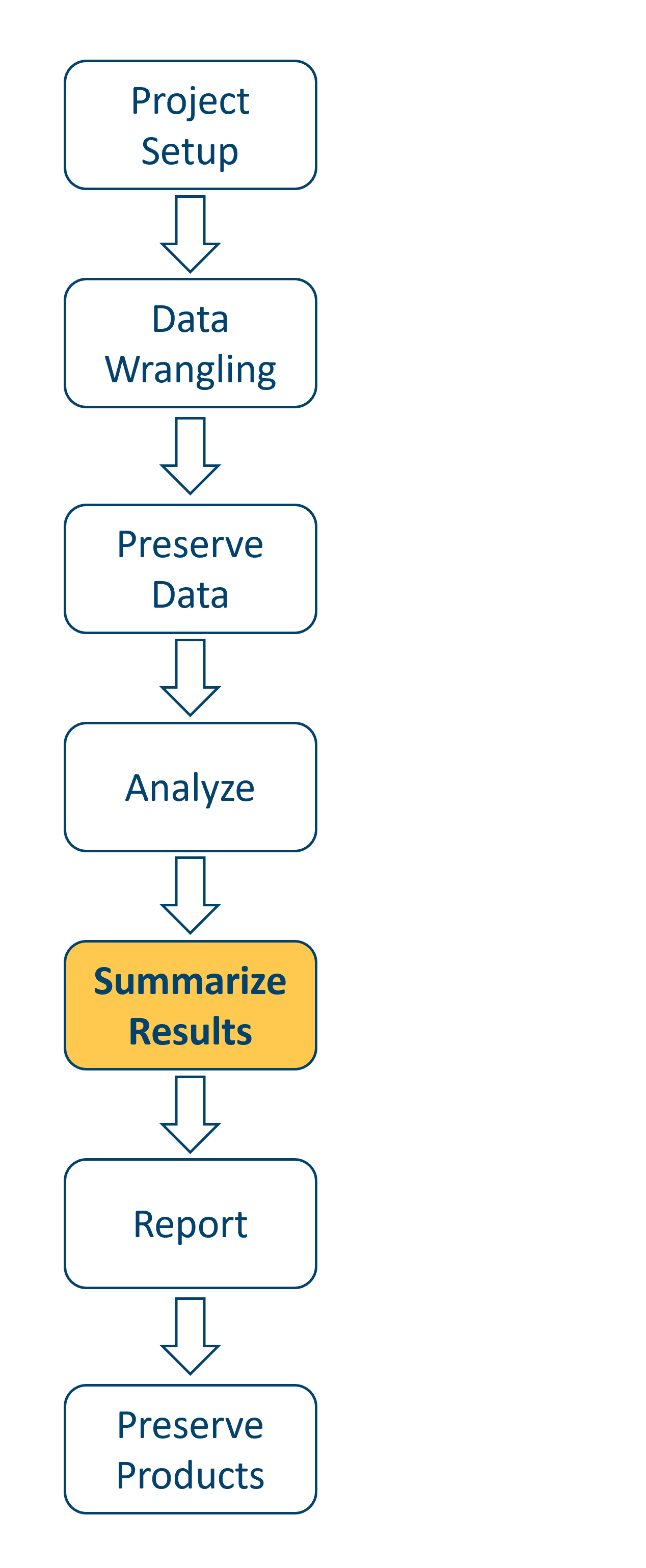 A data workflow diagram, starting at Project Setup and ending with Preserve Products. The Summarize Results step is highlighted.